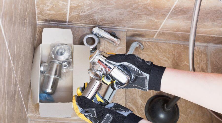 Professional gutter cleaning in Pine Island, MN